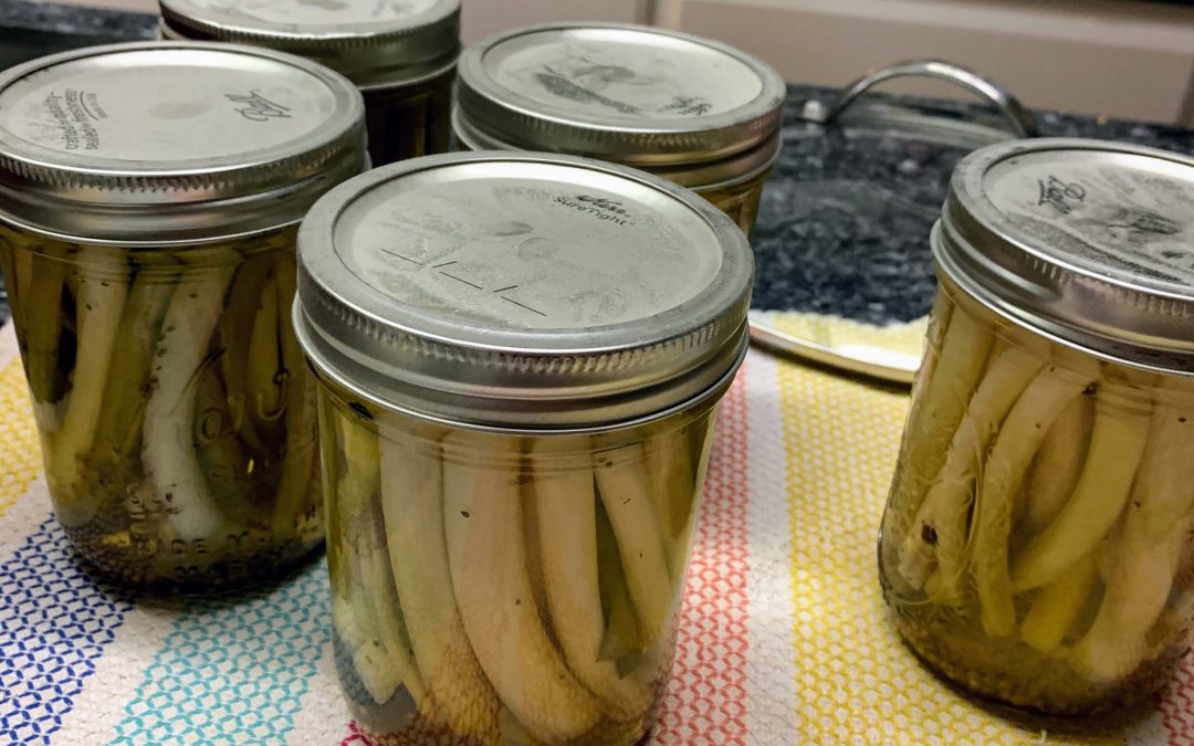 Mrs. Wheelbarrow’s Pickled Green Onions
